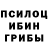 Псилоцибиновые грибы Cubensis Vlad Kurlov