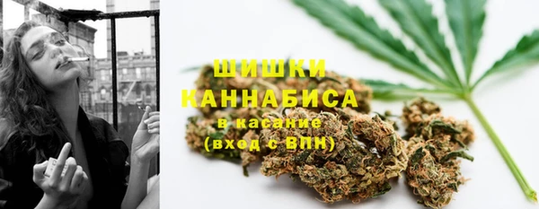 дмт Костерёво