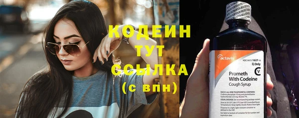 дмт Костерёво