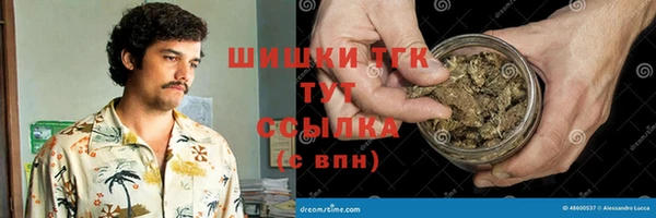 альфа пвп Краснослободск