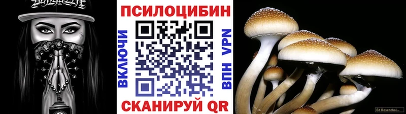Галлюциногенные грибы Psilocybe  продажа наркотиков  Альметьевск 