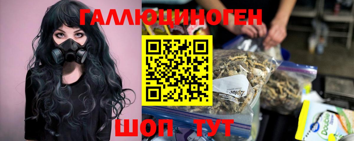 Альметьевск  Псилоцибиновые грибы Psilocybe  Псилоцибиновые грибы мицелий  Вход с VPN 